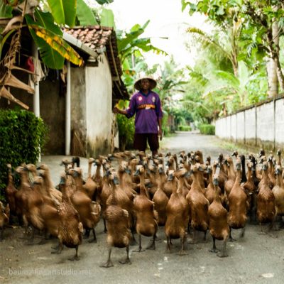 Goosebumps_art_dietmar_baum