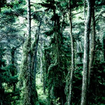 gluecksgalerie_neustadt_onlineshop_kunst_fineart_antartkis_artarktis_kunstwerk